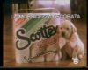 Scottex Carta Igienica E Decore’