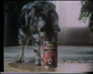 Quaker Chiari & Forti Fido Gatto