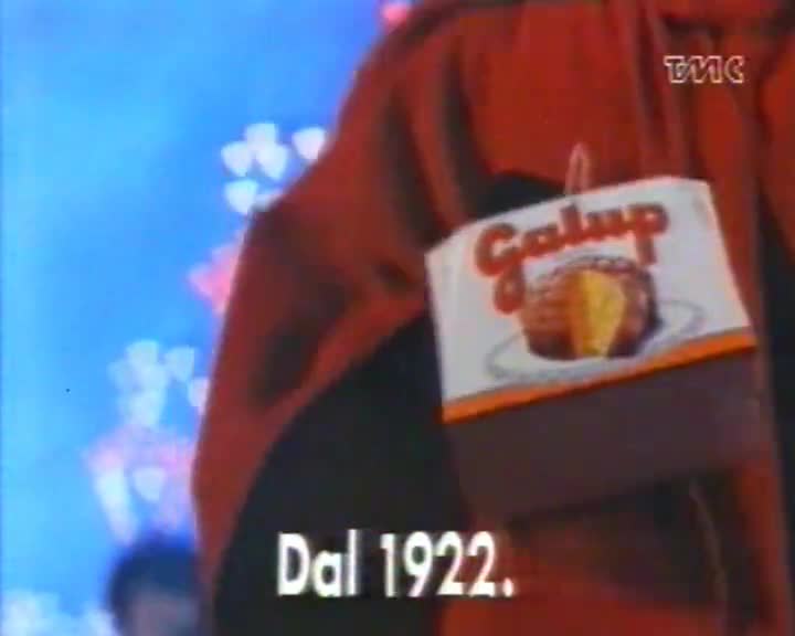 Galup Panettone