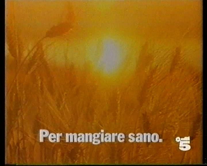 Barilla Mulino Bianco Fette Biscottate
