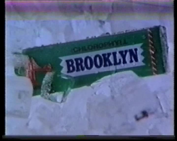 Brooklyn Perfetti