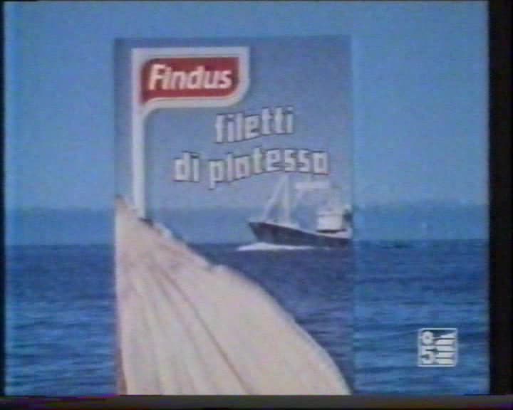 Findus Peschereccio Azzurro Filetti Di Platessa