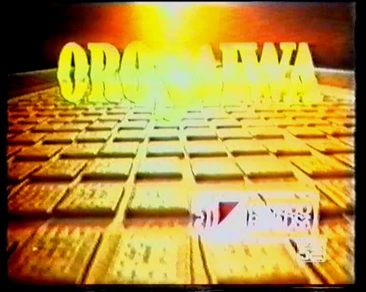 Nabisco Brands Oro Saiwa Biscotti
