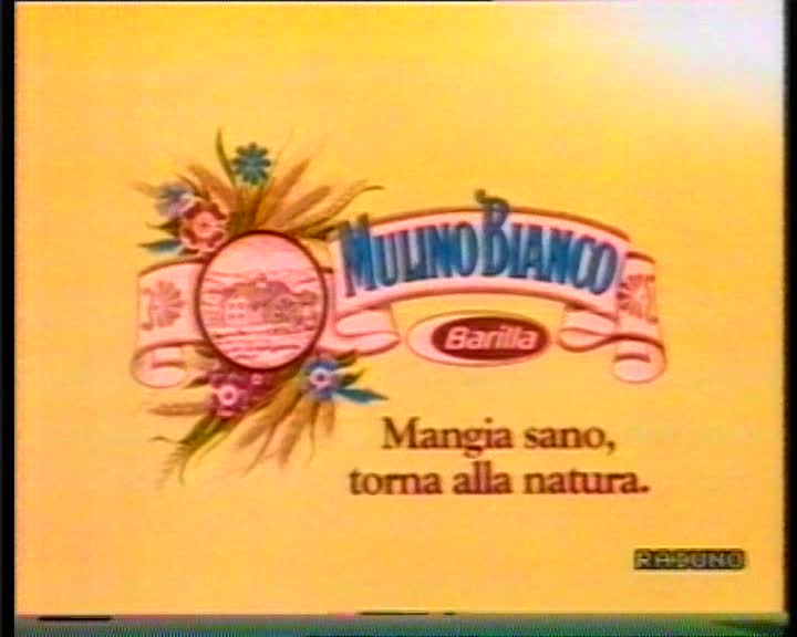 Barilla Mulino Bianco Plum Cake