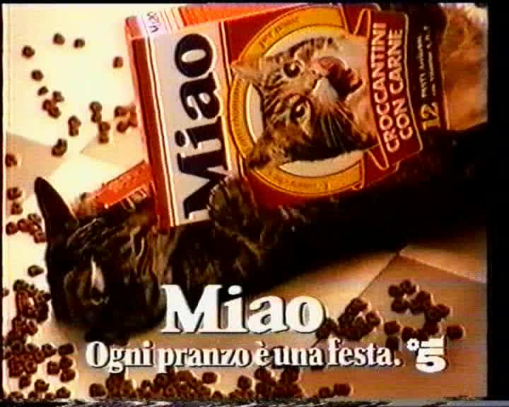 Miao Gatto Cibo Per Gatti
