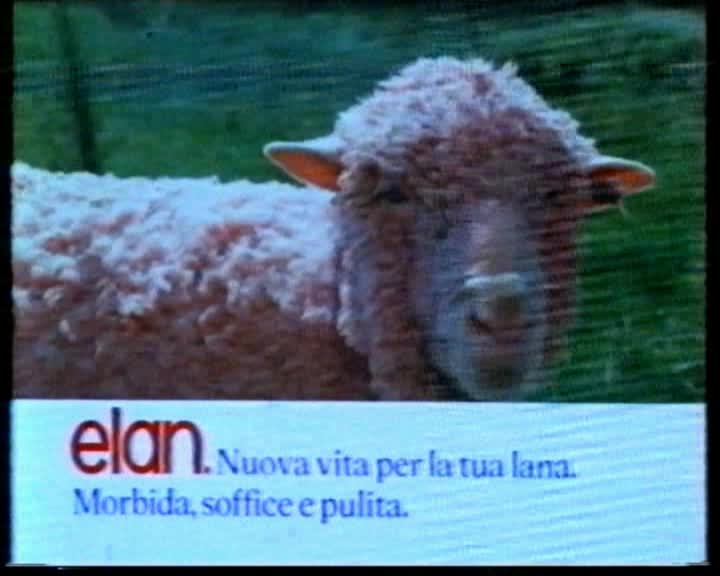 Soilax Elan Detersivo
